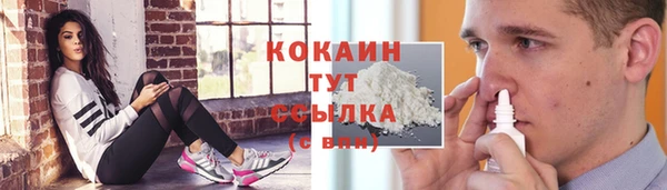 тгк Горняк