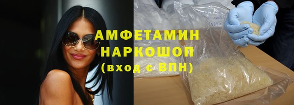 индика Гусиноозёрск
