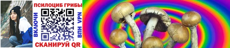 Галлюциногенные грибы Magic Shrooms Донской